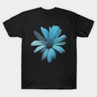 Daisy - Fringe Glyph T-Shirt